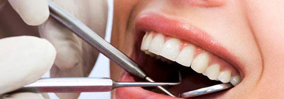 Learn more about Periodontists